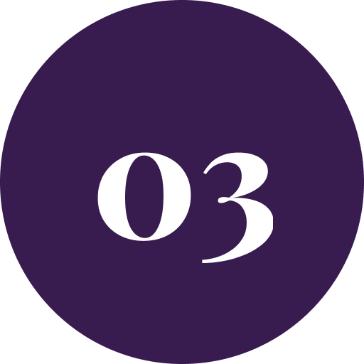 Purple circle with number 03 inside